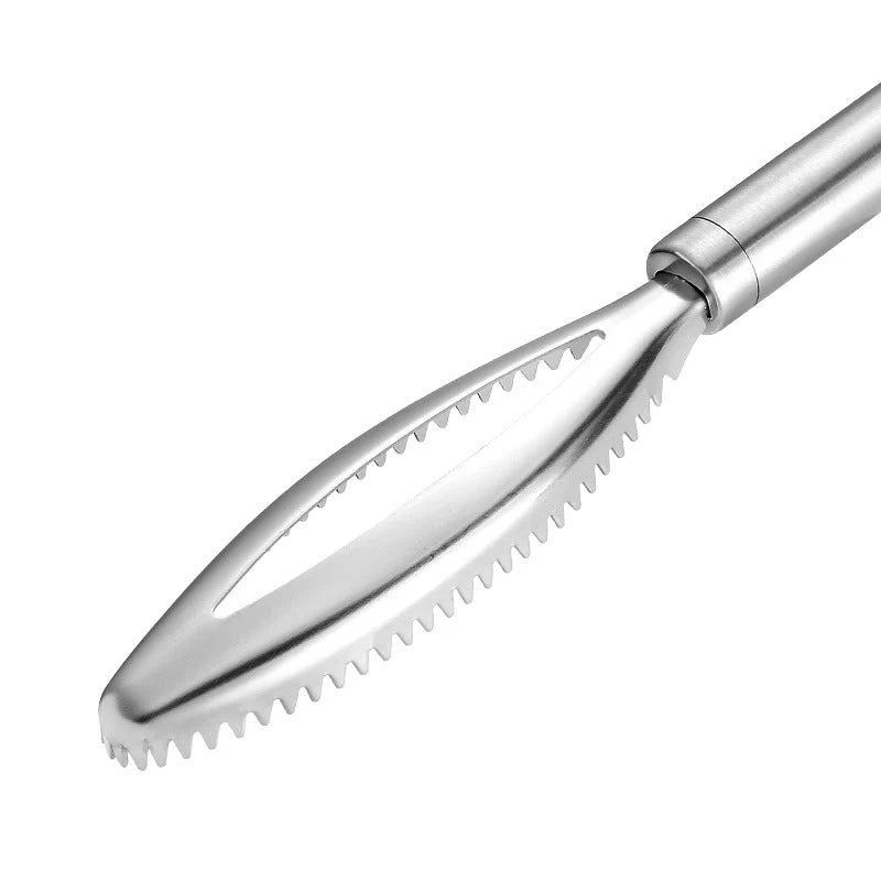 إزالة أداة قتل الأسماك الأثرية من أدوات المطبخ